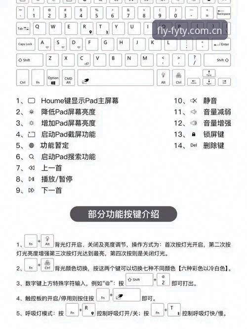 飞亚体育账号注册实用指南：老用户分享真实体验与操作技巧