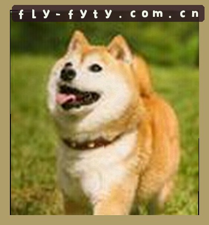 张伟