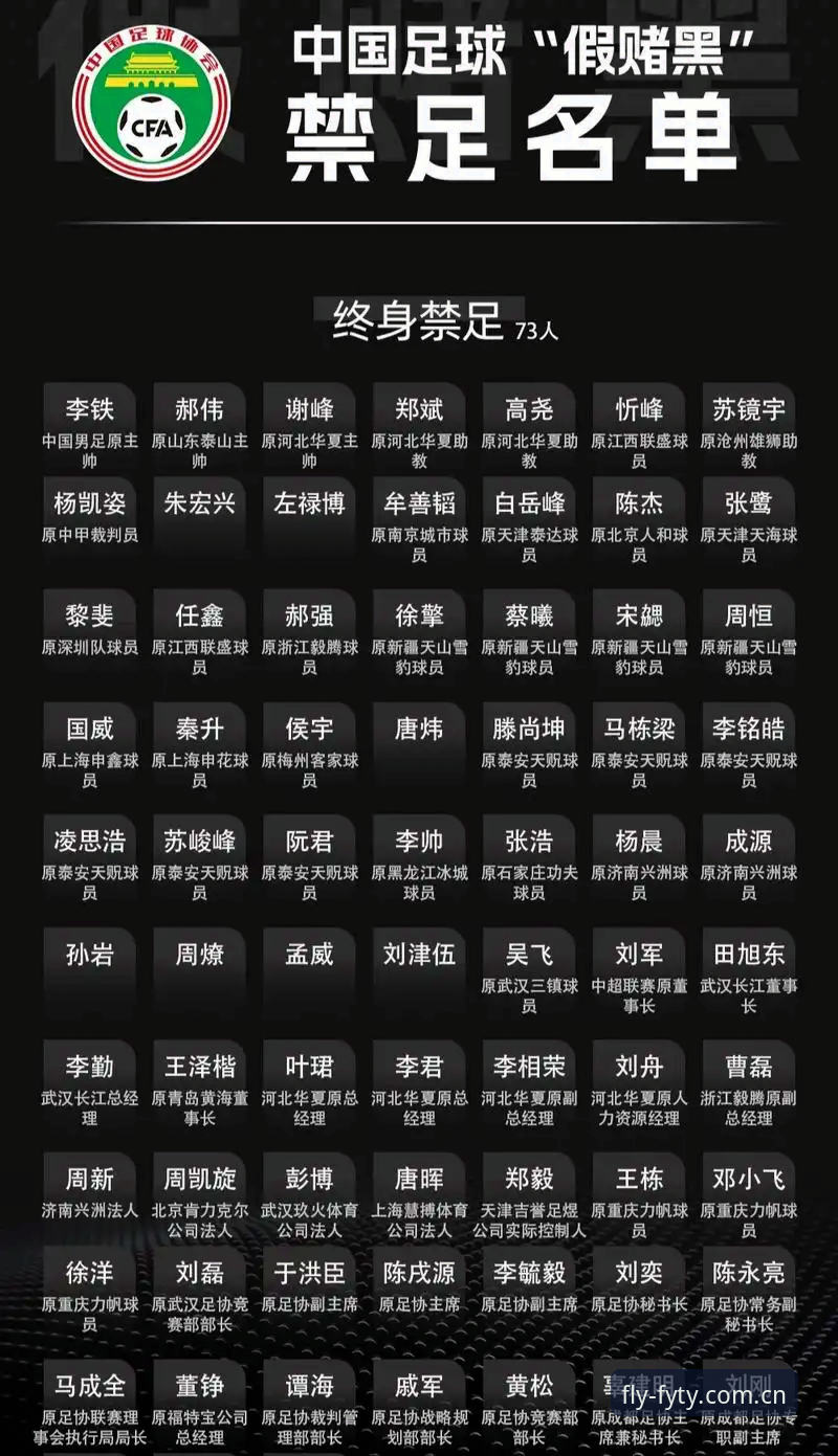 飞亚体育娱乐空间 解读足协第三批禁足名单的实用指南——全面解析中国足球反腐新动向